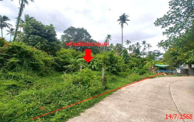 Real Estate from Banks _photo