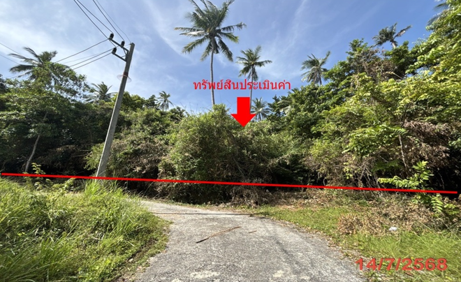 Real Estate from Banks _photo