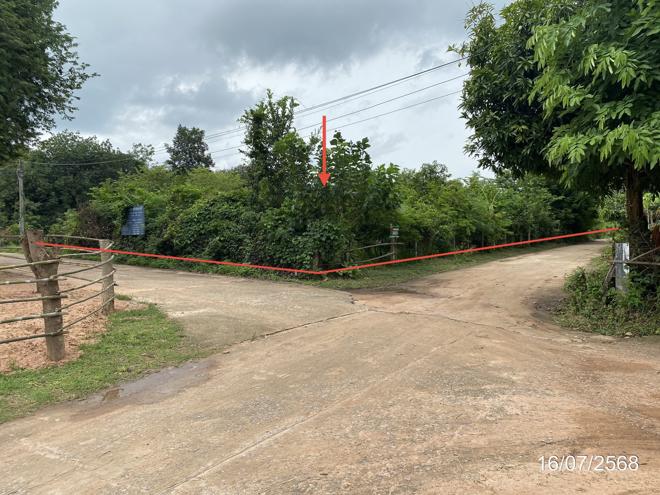 Real Estate from Banks _photo