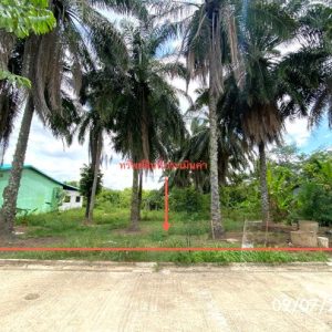 01 ที่ดินว่างเปล่า | สงขลา สะเดา ปาดังเบซาร์ | 01-88-12476