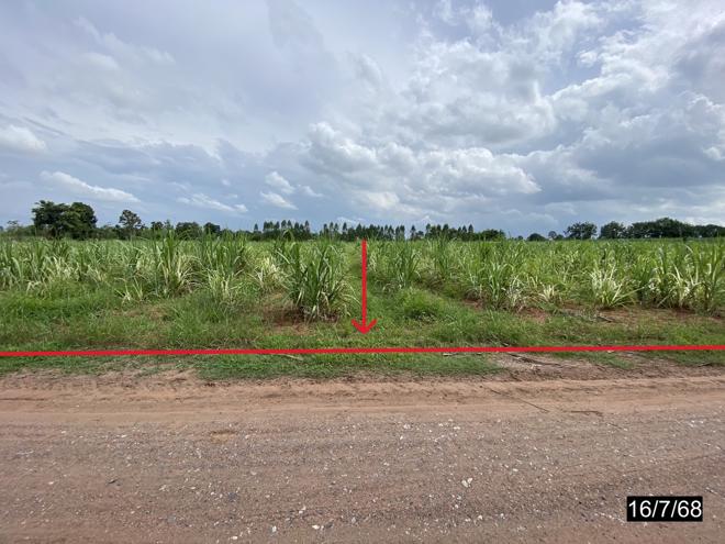 Real Estate from Banks _photo