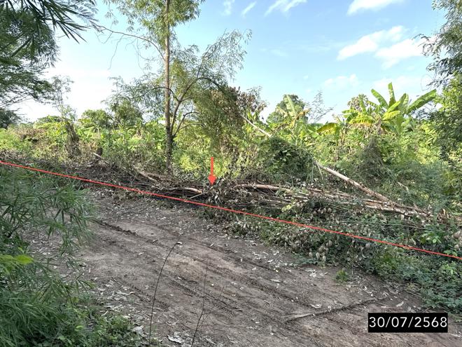 Real Estate from Banks _photo