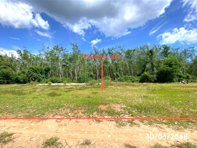 Real Estate from Banks _photo