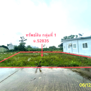 01 ที่ดินว่างเปล่า | พัทลุง ควนขนุน แพรกหา | 01-88-12558