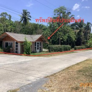 02 บ้านเดี่ยว | นครศรีธรรมราช ร่อนพิบูลย์ เสาธง | 02-88-17438