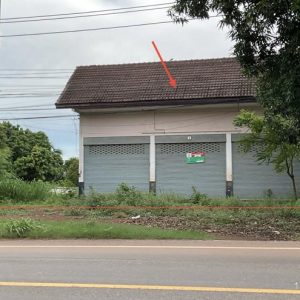 02 บ้านเดี่ยว | ปราจีนบุรี เมืองปราจีนบุรี ดงขี้เหล็ก | 02-88-17228