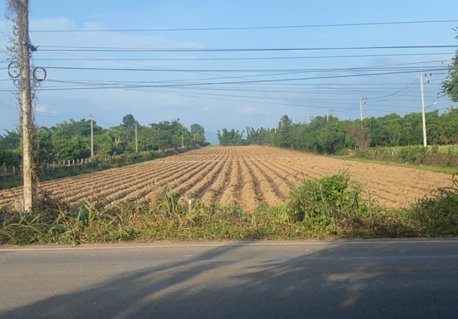 Real Estate from Banks _photo