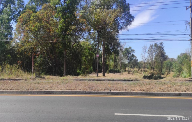 Real Estate from Banks _photo