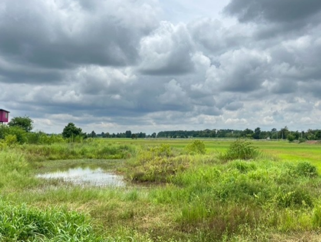 Real Estate from Banks _photo