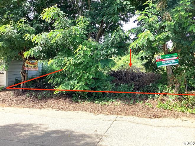 Real Estate from Banks _photo