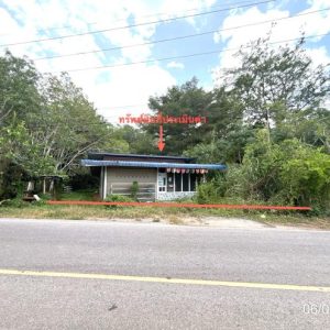 02 บ้านเดี่ยว | สุราษฎร์ธานี พุนพิน บางมะเดื่อ | 02-88-17548