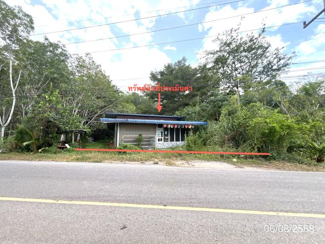 02 บ้านเดี่ยว | สุราษฎร์ธานี พุนพิน บางมะเดื่อ | 02-88-17548