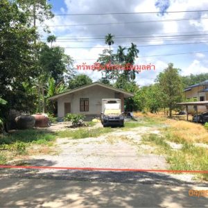 02 บ้านเดี่ยว | สุราษฎร์ธานี กาญจนดิษฐ์ ช้างขวา | 02-88-17491