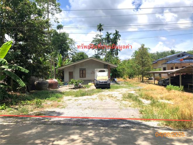 02 บ้านเดี่ยว | สุราษฎร์ธานี กาญจนดิษฐ์ ช้างขวา | 02-88-17491