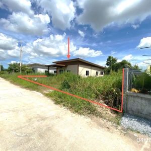 02 บ้านเดี่ยว | ชลบุรี บ้านบึง หนองชาก | 02-88-17216