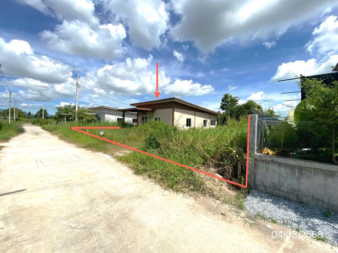 02 บ้านเดี่ยว | ชลบุรี บ้านบึง หนองชาก | 02-88-17216