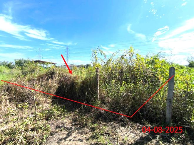 Real Estate from Banks _photo