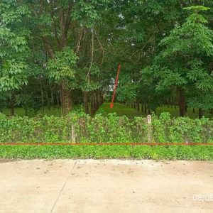 01 ที่ดินว่างเปล่า | พะเยา ภูซาง ป่าสัก | 01-88-12447