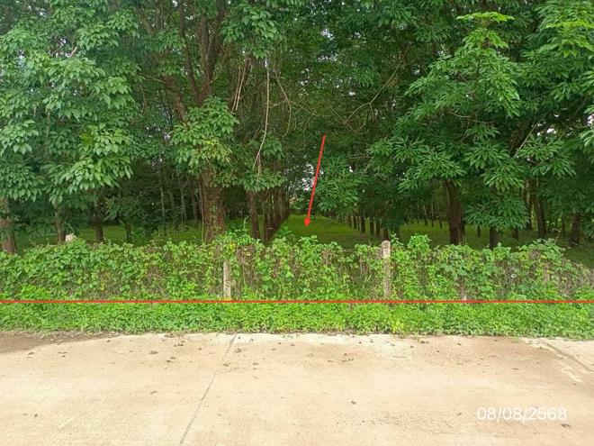 Real Estate from Banks _photo