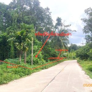 01 ที่ดินว่างเปล่า | สุราษฎร์ธานี บ้านนาเดิม นาใต้ | 01-88-12503