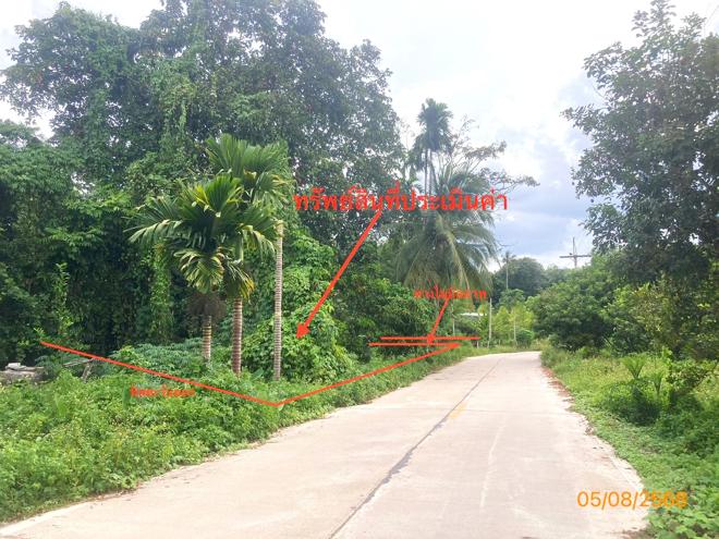 Real Estate from Banks _photo