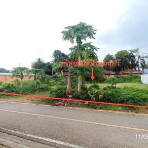 01 ที่ดินว่างเปล่า | ตรัง เมืองตรัง โคกหล่อ | 01-88-12407