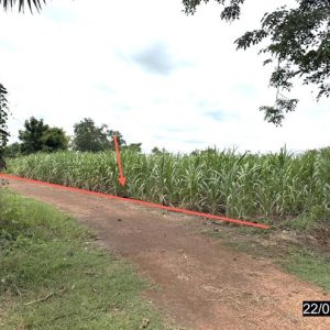 01 ที่ดินว่างเปล่า | ขอนแก่น หนองเรือ กุดกว้าง | 01-88-12509