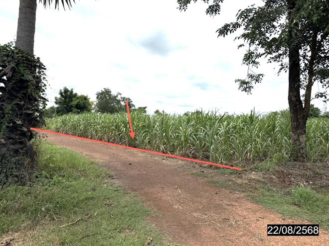 Real Estate from Banks _photo