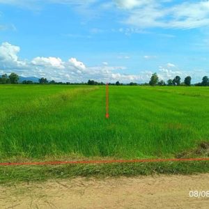 01 ที่ดินว่างเปล่า | พะเยา ดอกคำใต้ สันโค้ง | 01-88-12502