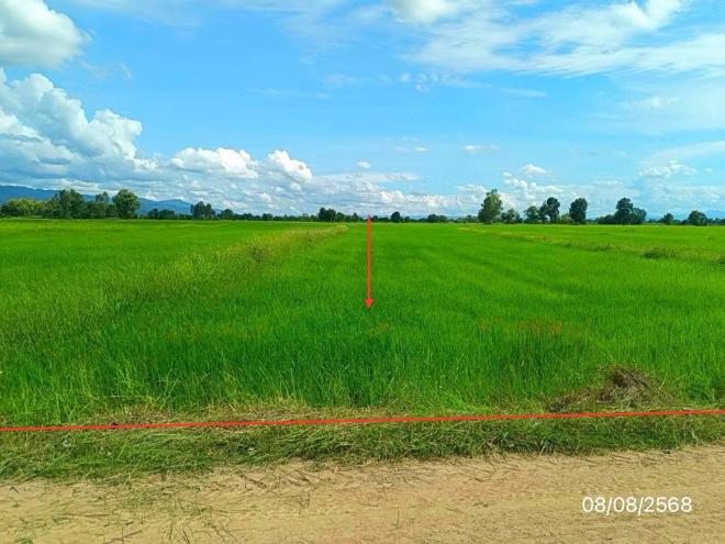 Real Estate from Banks _photo