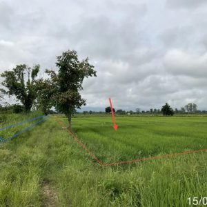 01 ที่ดินว่างเปล่า | เชียงราย แม่จัน จันจว้าใต้ | 01-88-12529