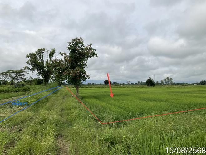 Real Estate from Banks _photo