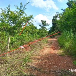 01 ที่ดินว่างเปล่า | พะเยา ภูซาง ภูซาง | 01-88-12455