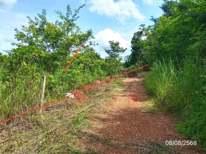 Real Estate from Banks _photo