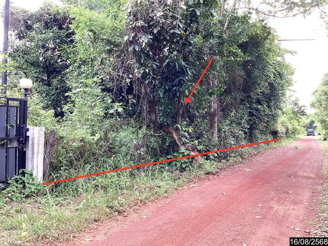 Real Estate from Banks _photo