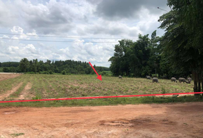 Real Estate from Banks _photo