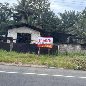 12 โกดัง | ตรัง ห้วยยอด เขาขาว | 12-66-01376