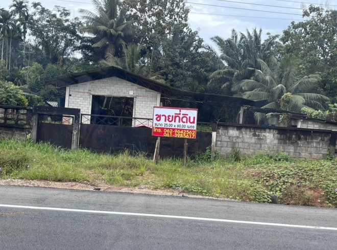 12 โกดัง | ตรัง ห้วยยอด เขาขาว | 12-66-01376