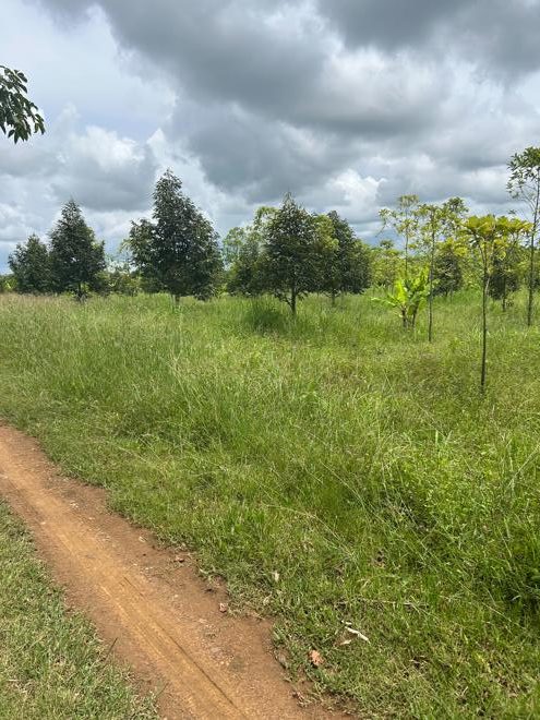 Real Estate from Banks _photo