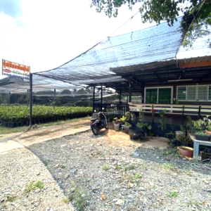 02 บ้านเดี่ยว | จันทบุรี ขลุง บ่อ | 02-66-05671