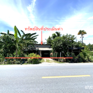 02 บ้านเดี่ยว | นครศรีธรรมราช หัวไทร หน้าสตน | 02-88-17890