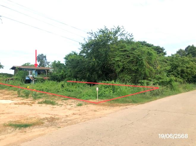 02 บ้านเดี่ยว | พิจิตร โพทะเล บ้านน้อย | 02-88-17896