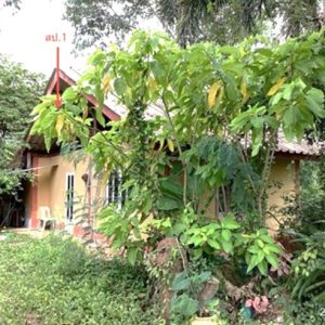 02 บ้านเดี่ยว | เพชรบุรี ท่ายาง ท่าคอย | 02-88-17912