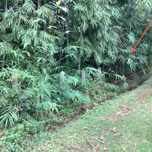 01 ที่ดินว่างเปล่า | อุดรธานี เพ็ญ บ้านธาตุ | 01-88-12505
