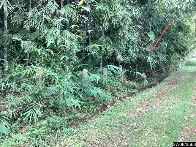 Real Estate from Banks _photo