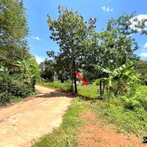 01 ที่ดินว่างเปล่า | สกลนคร พรรณานิคม สว่าง | 01-88-12597