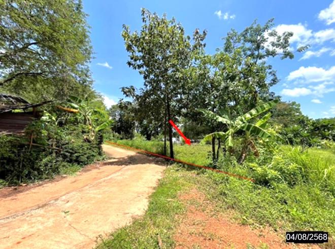 Real Estate from Banks _photo