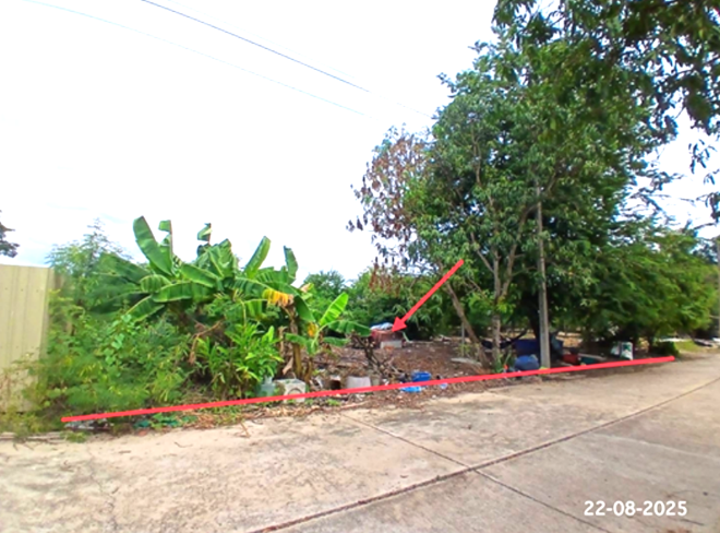 Real Estate from Banks _photo