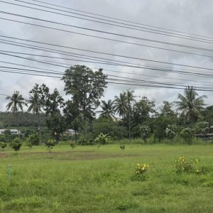 01 ที่ดินว่างเปล่า | เชียงราย พาน เมืองพาน | 01-66-02292