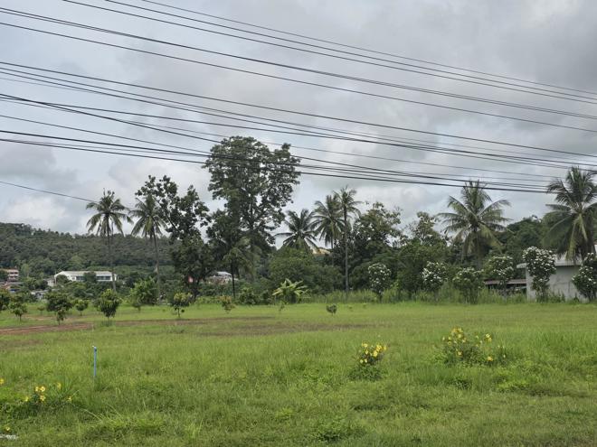 Real Estate from Banks _photo